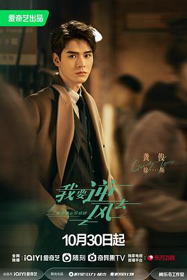 福建正规seo优化欢迎咨询